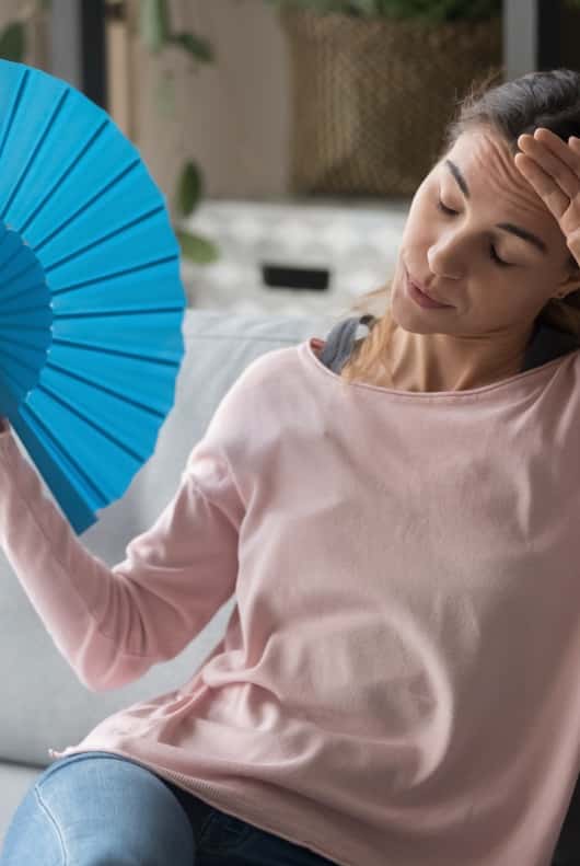 Woman with Fan - Alpine Refrigeration & Air Conditioning In West Wallsend,NSW